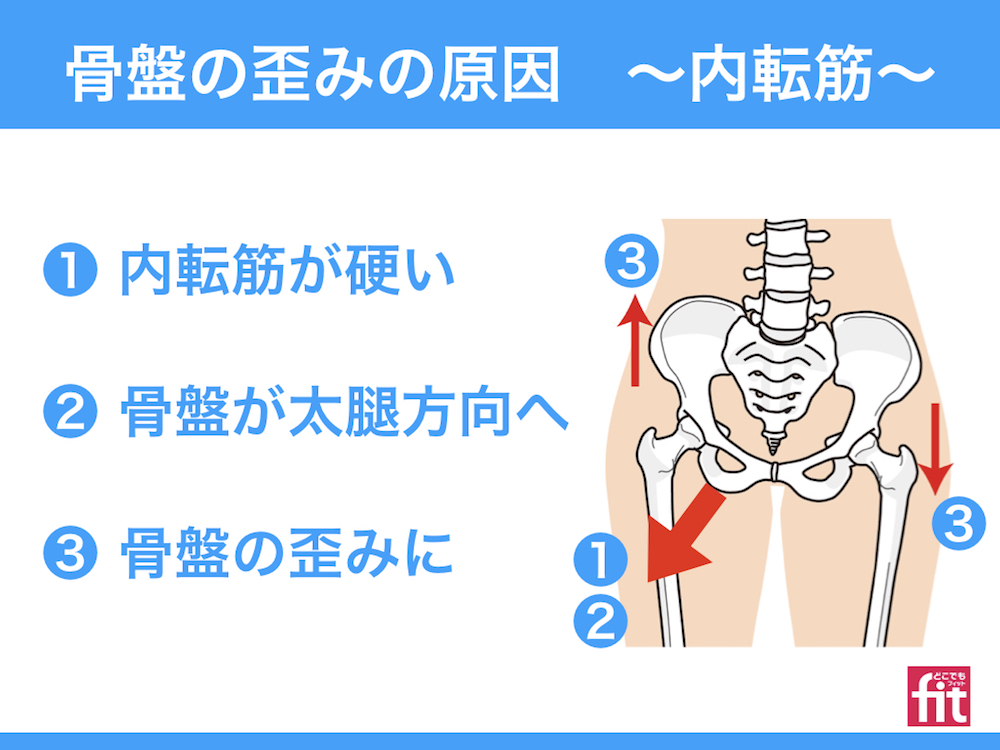 内転筋 長内転筋 短内転筋 大内転筋 恥骨筋 薄筋 筋肉のしくみ 解剖 と効果的な筋トレ ストレッチの方法 動画あり 大阪市阿倍野区のパーソナルトレーニングなら個室ジムどこでもフィット御堂筋線西田辺