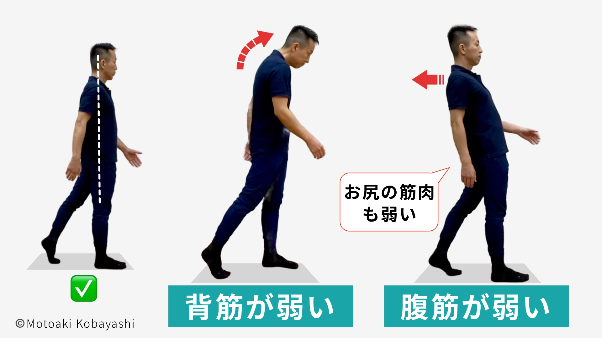 活動歴および当時の関連ビジュアル記録