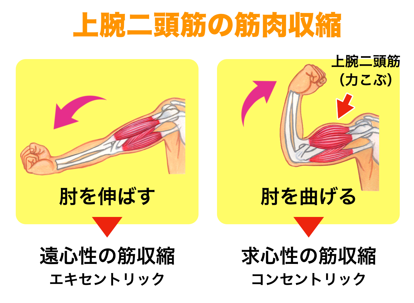 コンセント リック 収縮