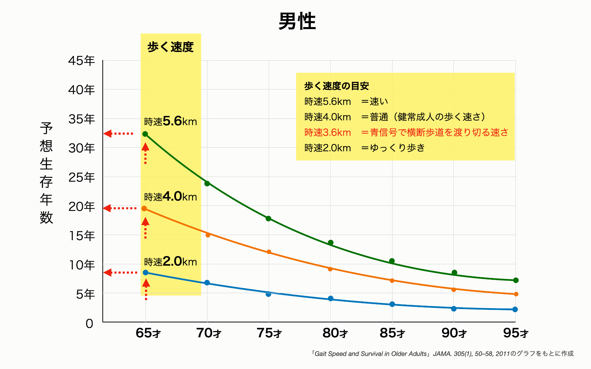 歩き 速度