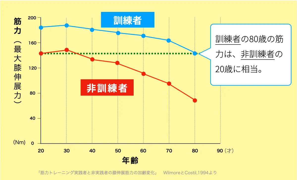 筋トレ実践と筋トレ非実践者の筋力差