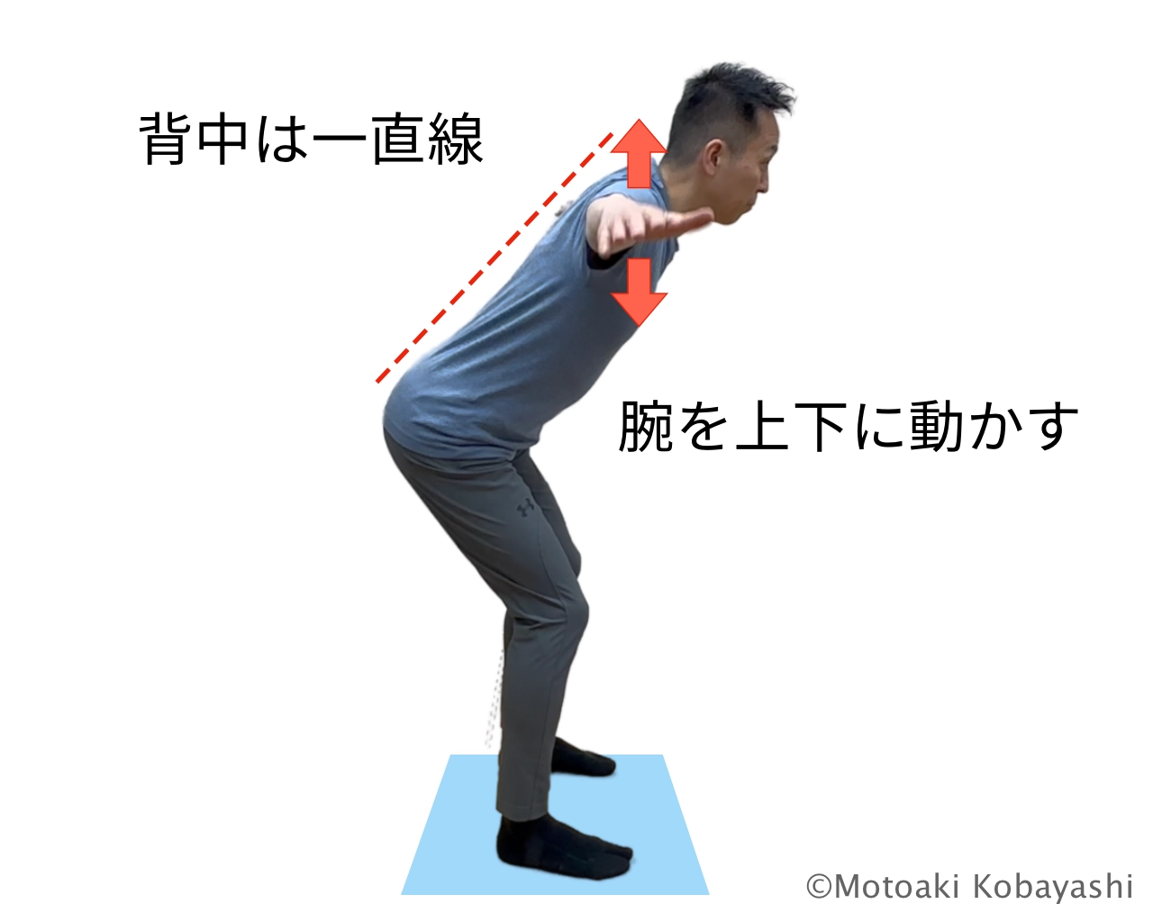 立位T字バック２　脊柱起立筋

