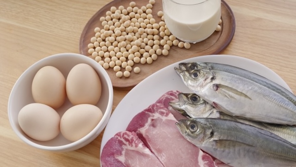 高タンパクな食品